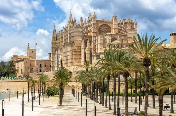 La Seu – Die Kathedrale von Palma de Mallorca, Mallorca, Spanien Kathedrale La Seu in Palma de Mallorca mit gotischer Fassade, umgeben von Palmen und blauem Himmel