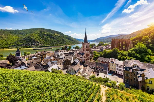 Flusskreuzfahrt am Rhein Ein Städtchen am Rhein mit Weinbergen und klarem Himmel.