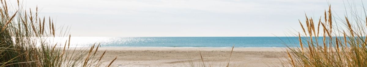 Blick von den Dünen auf den Strand und die Nordsee.