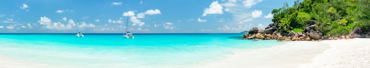 Strand und Meer in grüner Natur.