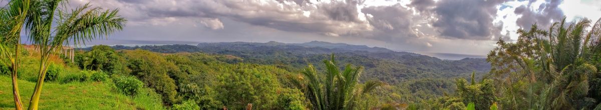 Grüne Hügel und Berge auf der Insel Roatán.