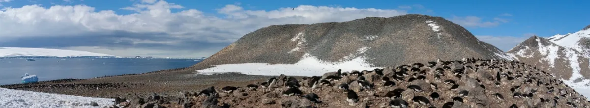 Antarktis Insel Antarktis Insel umgeben von Eislandschaft.
