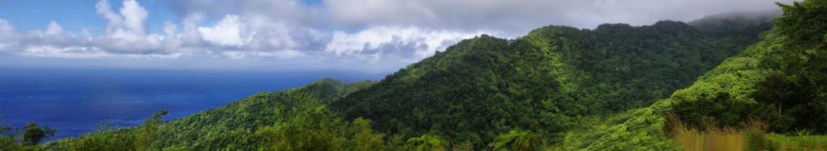 Grüne, üppige Landschaft auf Dominica.
