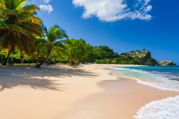 Grand Anse Beach Blick auf den Grand Anse Beach, der von Palmen umgeben ist.