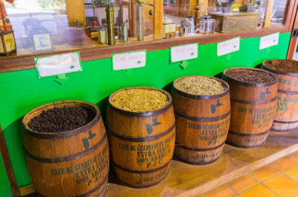 Fässer vor einer Bar Fässer mit Kaffeebohnen vor einer Theka in einem Geschäft.