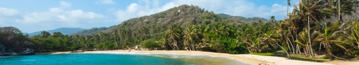 Palmenbestandener Strand im Tayrona Nationalpark bei Santa Marta.