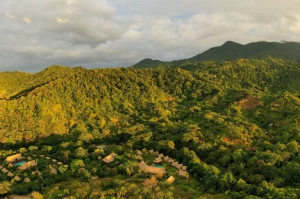 Üppige Vegetation im Tayrona Nationalpark.