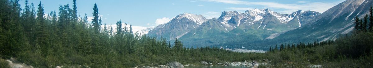 Die wilde Naturkulisse bei Wrangell, definiert von hohen, dichten Wäldern und majestätischen Bergen mit schneebedeckten Gipfeln.
