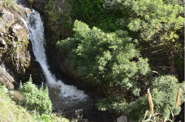 Ein Wasserfall inmitten des grünen Dickichts einer Insel bei Tag.