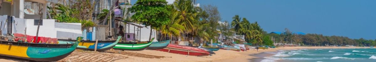 Bunte Boote am palmenbestandenen Strand von Trincomalee.