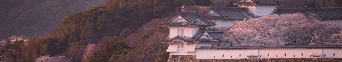 Die Mauern der Burg Himeji mit umliegender Natur.