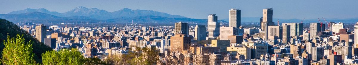 Ausblick über Sapporo bei Tag von einem nahen Hügel aus, wobei die Hochhäuser der Stadt in Szene gesetzt werden.
