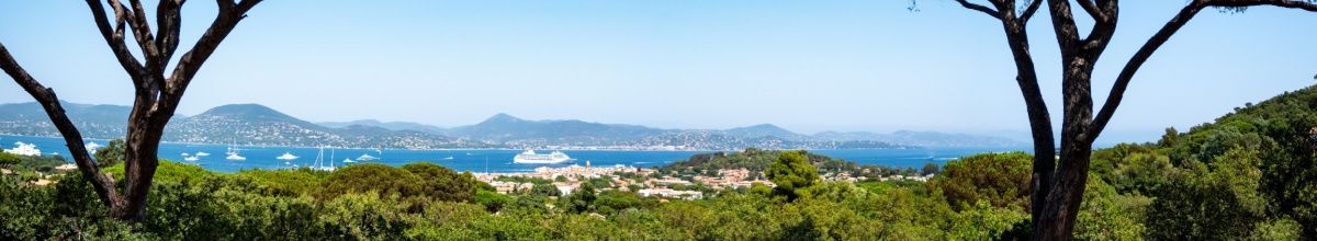 Panoramablick auf den Hafen von Saint-Tropez mit Kreuzfahrtschiff durch zwei Bäume hindurch fotografiert.
