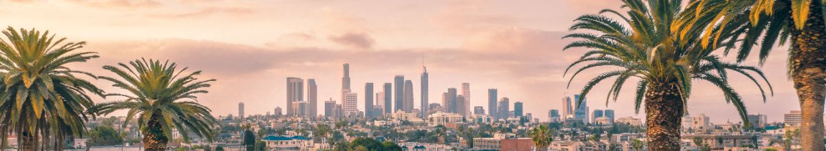 Die Skyline von Los Angeles mit Palmen im Vordergrund und Wolkenkratzern im Stadtkern.