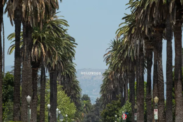 Das Hollywood Sign Blick auf das Hollywood Signe in der Ferne von einer Palmengesäumten Straße aus bei Tag.