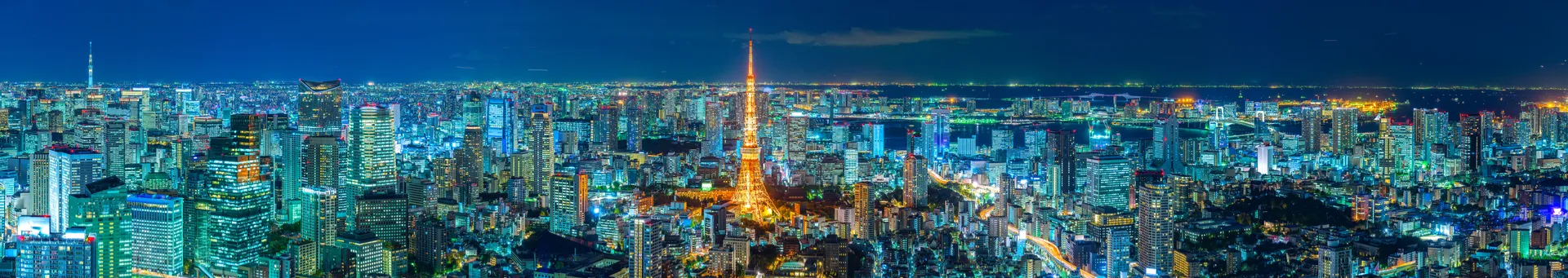 Panoramablick auf die Skyline von Tokio bei Nacht.