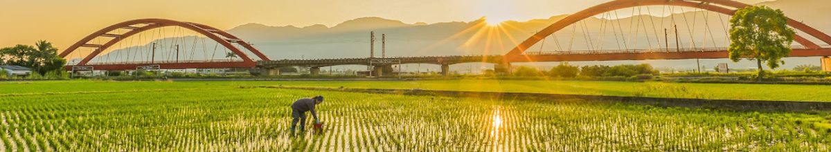 Zwei Brücken beim Sonnenaufgang mit einer Farmer auf seinem Feld im Vordergrund.
