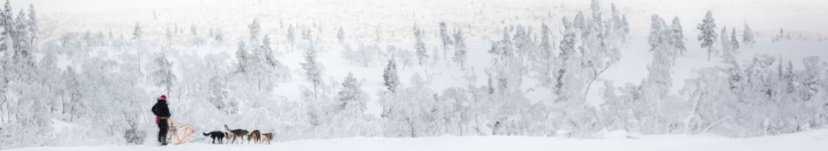 Mann mit Hundeschlitten steht vor verschneiter Landschaft.