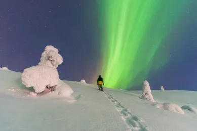 Grüne Polarlichter über weißer Winterlandschaft.