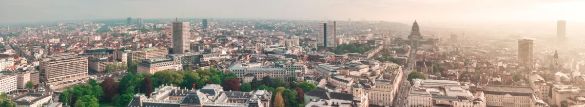 Panorama von Brüssels Innenstadt bei Sonnenaufgang.