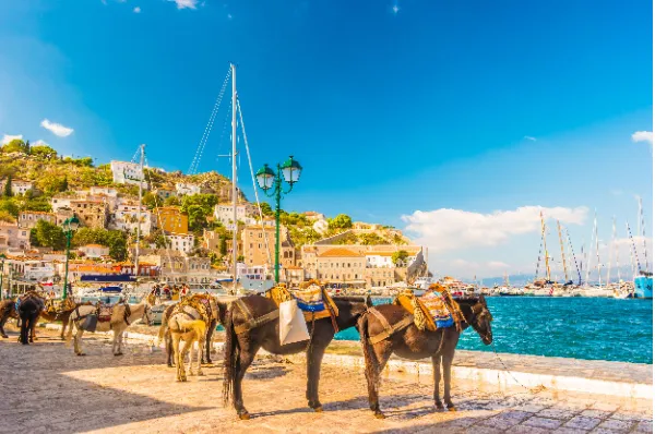 Ein paar Esel als traditionelle Fortbewegungsmittel, die am Hafen von Hydra warten am Tag.