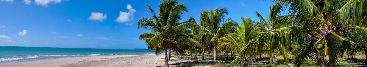 Von Palmen umsäumter Sandstrand in Maceió, Brasilien.
