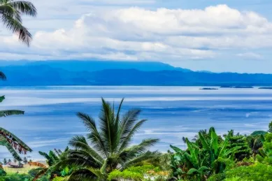 Palmen vor blauem Meer, im Hintergrund Hügellandschaft.