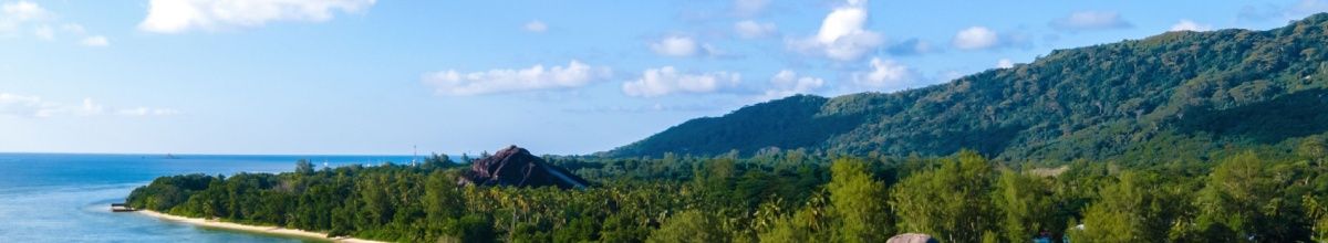 Grüner Regenwald am türkisblauen Meer unter strahlend blauem Himmel.