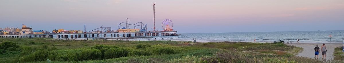 Blick auf den Pier in Galveston mit dem Riesenrad und dem Jahrmarkt, im Vordergrund grüne Dünenlandschaft.