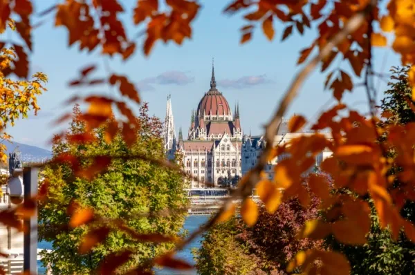 Das Budapester Parlament an der Donau, eingerahmt von herbstlichen Bäumen.