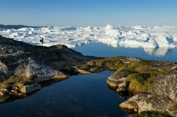 Ein Wanderer auf einem karg bewachsenen Hügel mit der eisigen Weite der Diskobucht im Hintergrund am Tag.
