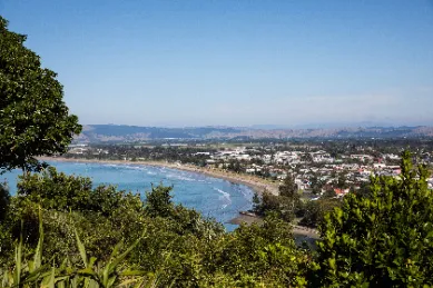Ausblick über die Hafenkante von Gisborne am Tag von einem Hügel aus mit Büschen im Vordergrund und der Stadt mit dem Meer im Hintergrund.
