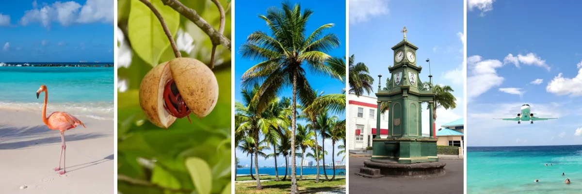 5-teiliges Bild v. l. n. r.: Flamingo am Strand von Aruba, Muskatnuss am Baum auf Grenada, Palmen in Santo Domingo, Uhrenturm am Circus in Basseterre, Flugzeug am Maho Beach auf St. Maarten.