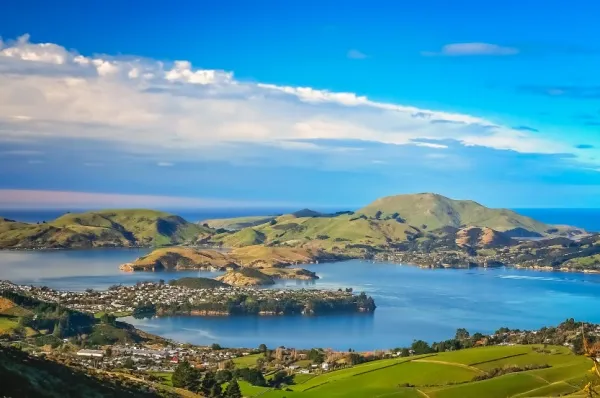 Hafen von Dunedin Panoramablick auf die Bucht und den Hafen von Dunedin, von grünen Hügeln umgeben.