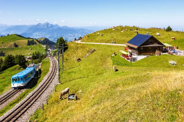Eine sonnenbeschienene, sattgrüne Alm mitsamt Zahnradbahn, Hütte und Vieh auf dem schweizer Berg Rigi nahe Luzern.