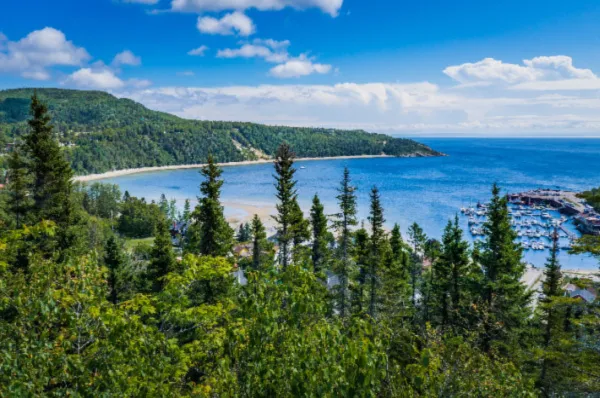 Ausblick über die wilde Natur bei Tadoussac Die ungezähmte grüne Natur bei Tadoussac am Tag mitsamt Wäldern, Strand und Meer.