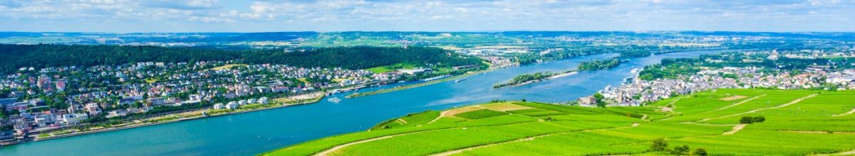 Grüne Weinberge vor dem Rhein in der Stadt Rüdesheim unter blauem Himmel.