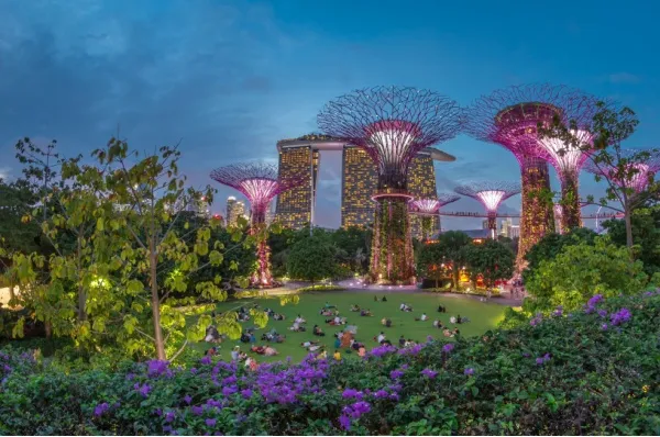 Beleuchtung von Garden by the Bay in Singapur nach Sonnenuntergang.