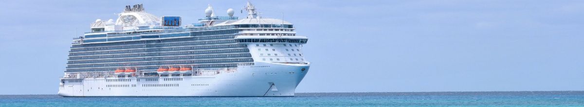Ein riesiges Kreuzfahrtschiff auf dem Wasser bei Tag.