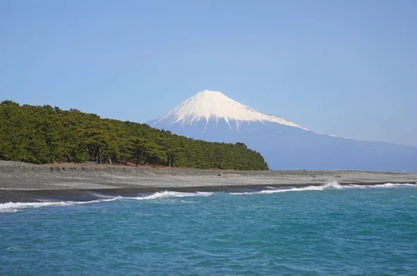 Pinienhain, der an einen Sandstrand grenzt, mit dem Berg Fuji im Hintergrund.