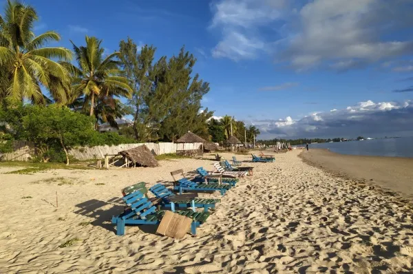Sandstrand mit blauen Sonnenliegen vor Palmen unter blauem Himmel.