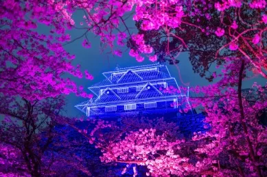 Eine neon-blau beleuchtete Burg in Fukuoka mit Kirschblüten im Vordergrund bei Nacht.