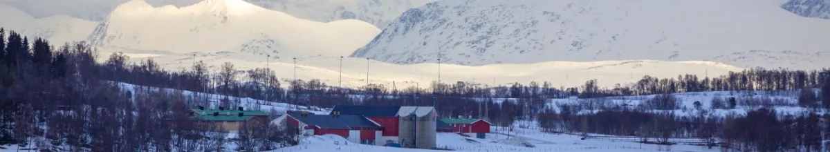 Der Ort Gibostad im Winter mit riesigen, schneebedeckten Bergmassiven im Hintergrund.