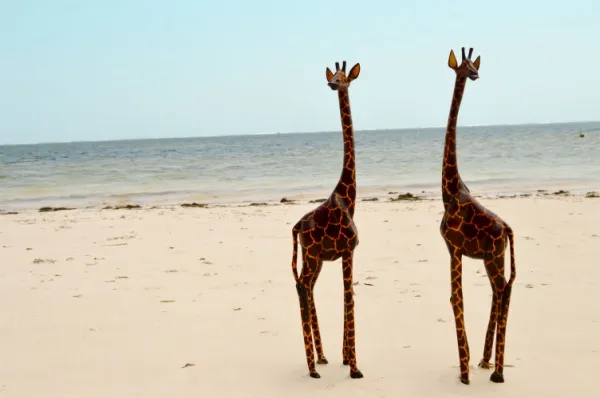 Zwei große, hölzerne Giraffenstatuen am Bamburi Beach in Mombasa bei Tag.