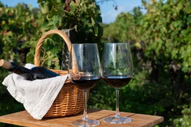 Zwei Weingläser mit Rotwein und eine Rotweinflasche in einem Holzkorb vor grünen Weinbergen.