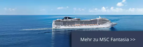 Seitenansicht von MSC Fantasia
