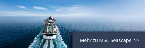 Heckansicht der MSC Seascape