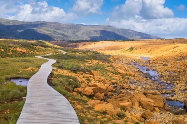 Die Tundra ähnliche Naturkulisse in Neufundland, Labrador und Hopedale bei Tag.