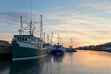 Fischerboote vor Anker in Neufundland bei Sonnenaufgang.
