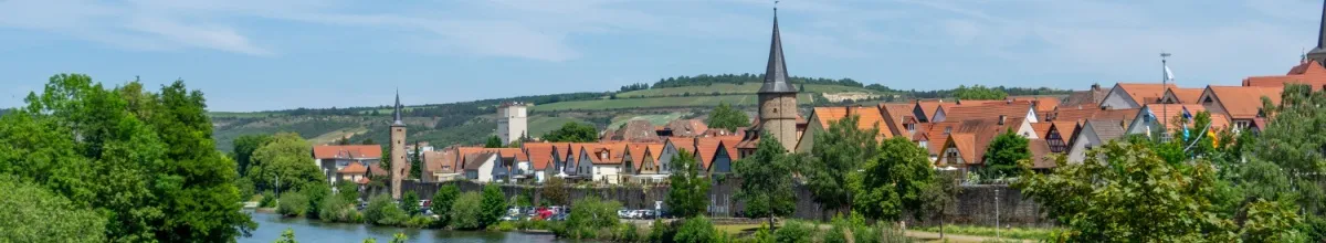 Ein Panorama von Karlstadt, direkt am Main gelegen bei Tag mit viel grüner Natur und den roten Dächern der Stadt.